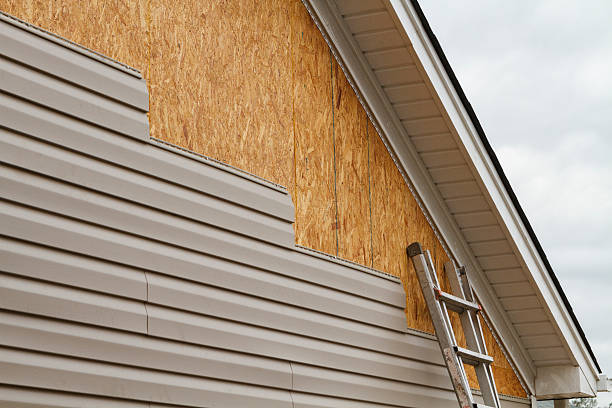 Professional Siding Repair technician working in Dinwiddie, VA